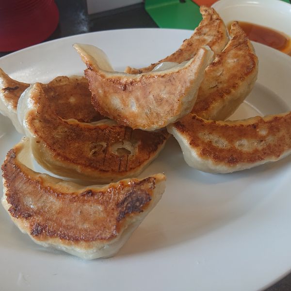 「わかめタンメン450円、餃子350円」@花水ラオシャン 本店の写真