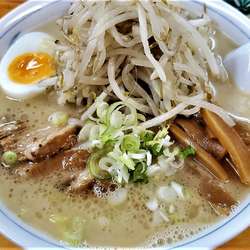 塩とんこつチャーシャー麺