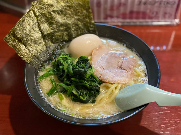 「豚骨塩ラーメン」@藤井家の写真