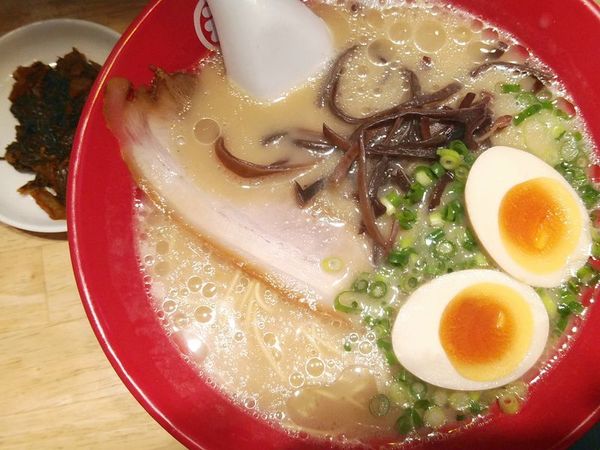 「ラーメン＋味玉子＋辛子高菜」@豚骨らーめん 福の軒 秋葉原店の写真
