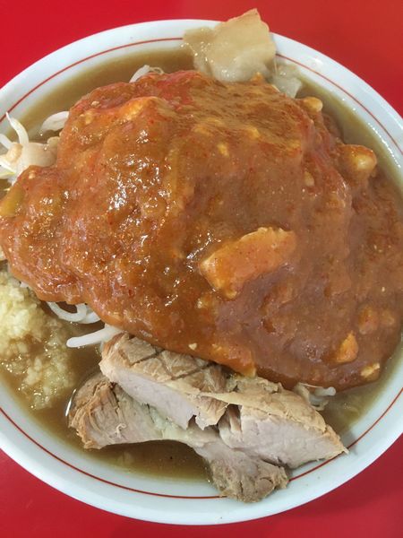 「フュージョン800円」@蒙麺 火の豚の写真