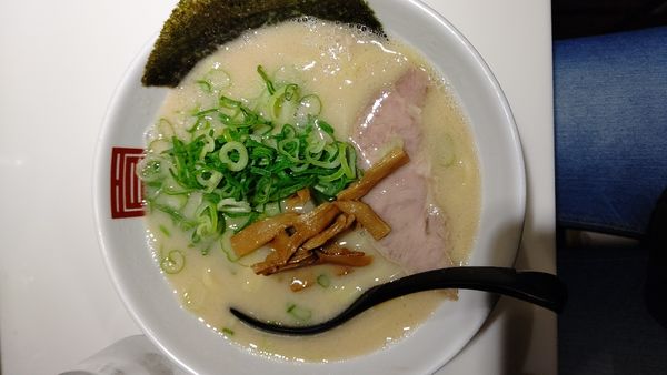 「ラーメン白(太麺)」@麺屋 のすけの写真