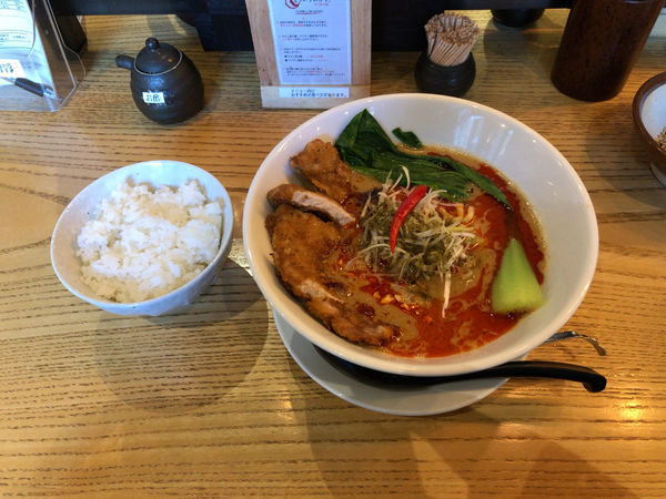 「パイコー四川坦々麺」@四川担々麺 どういうわけで、の写真