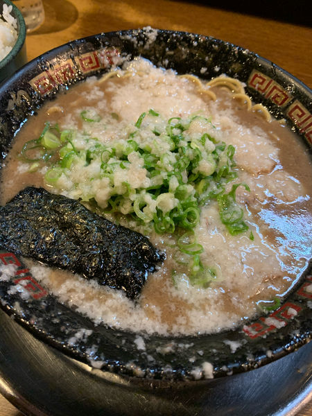 「とんこつラーメン」@無鉄砲 大阪店の写真