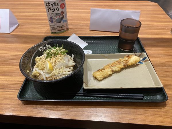 「冷やしぶっかけうどん 319円」@はなまるうどん 新宿甲州街道店の写真