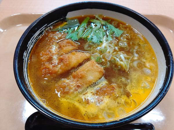 「カツカレーラーメン(並盛)780円」@あぐりキッチンの写真