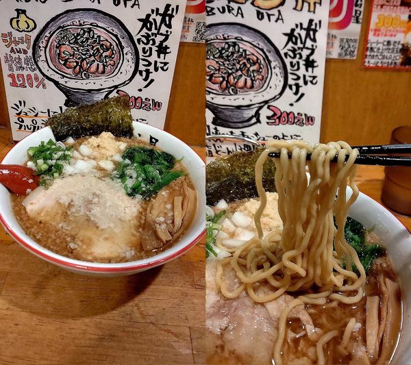 「20食限定『背脂生姜醤油ラーメン(¥880)』」@きら星の写真