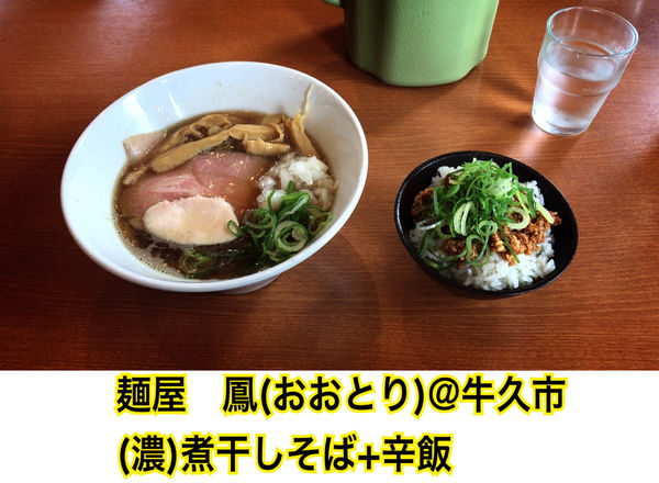 「濃い煮干しそば」@麺屋 鳳の写真