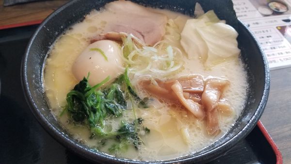 「塩とんこつ味玉ラーメン」@ラーメン 白  本店の写真