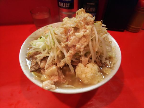 「全部入り(麺少なめ・麺硬め)」@ラーメン二郎 府中店の写真