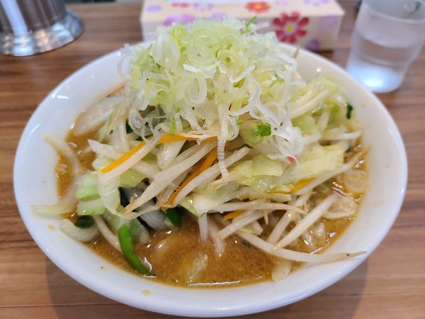 「味噌タンメン(大)」@飯村製作所の写真