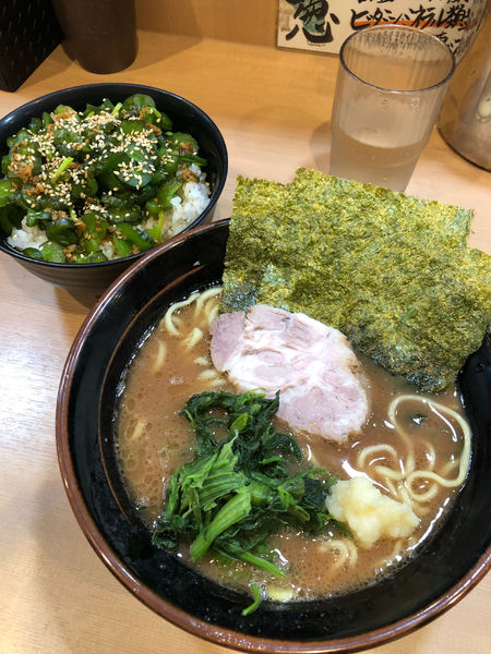 「並ラーメン」@横浜家系らーめん 武道家 賢斗の写真
