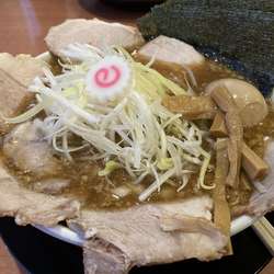 背脂生姜醤油　カツオ　特製