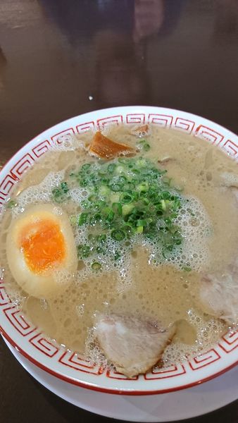 「だるまラーメン+もつマンマ」@だるま大使 本店の写真