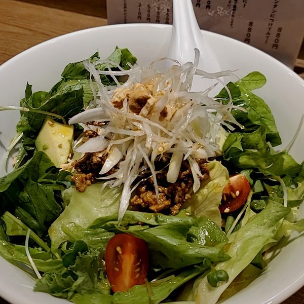 「【期間限定】冷やしサラダ担々麺」@雲呑麺のお店 おんわの写真