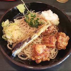 冷唐揚げおろし