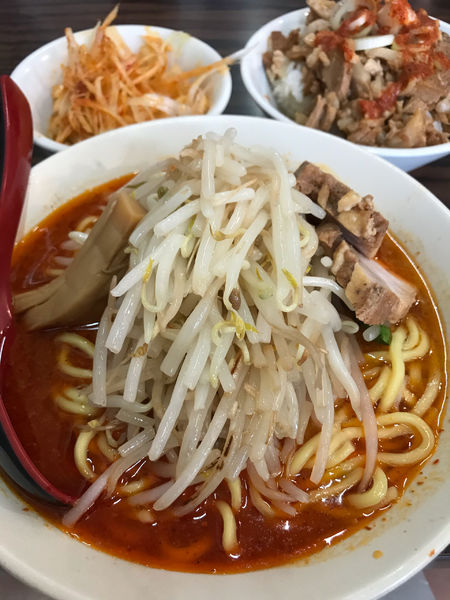 「辛味噌ラーメン、豚ごはん、チンピラねぎ」@味噌麺処 花道庵の写真