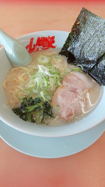 「塩ラーメン」@ラーメン山岡家 佐野店の写真