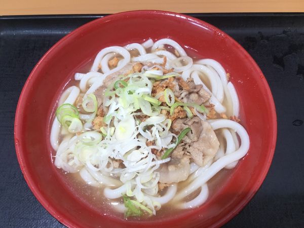 「【期間限定】冷やし肉骨茶うどん（￥590）」@名代 富士そば 神田店の写真