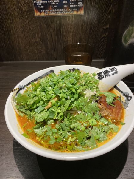 「カラシビパクチー味噌ラーメン」@カラシビ味噌らー麺・つけ麺 神田本店の写真