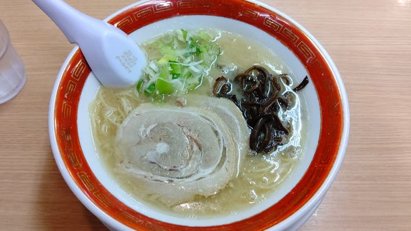 「白　バリカタ」@博多らーめん 無双 大船店の写真