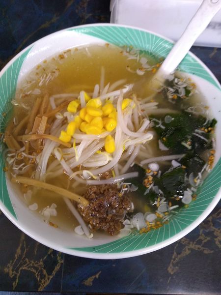 「塩ラーメン 550円 餃子 250円」@手打ちらーめん 龍昌の写真