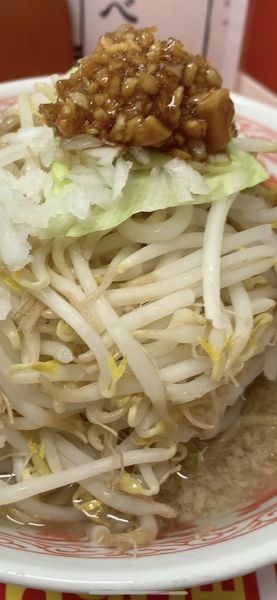 「獅子ふじ麺セール500円」@獅子王の写真