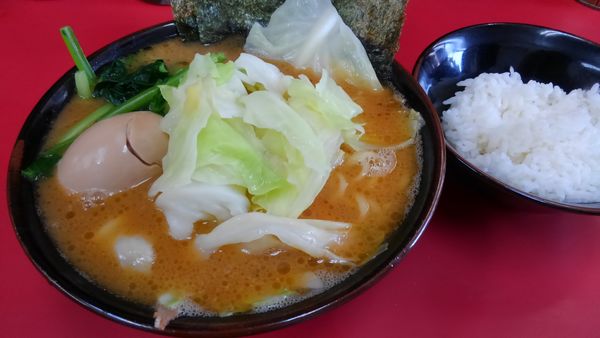 「ラーメン、味玉、キャベツ、ライス950円」@田上家の写真
