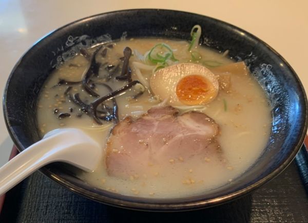 「とんこつラーメン」@麺家 匠の写真