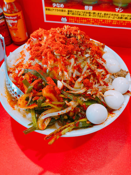 「ヒーヒ麺　ウズラ」@立川マシマシ 太田店の写真