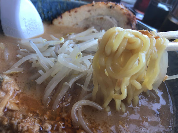 「房州味噌ラーメン　炙りチャーシュー1枚　880円」@蔵出し房州味噌麺屋馬琴の写真