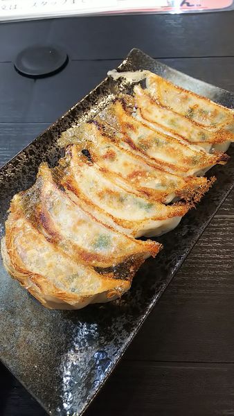 「男前餃子」@横浜天晴生餃子 本牧店の写真