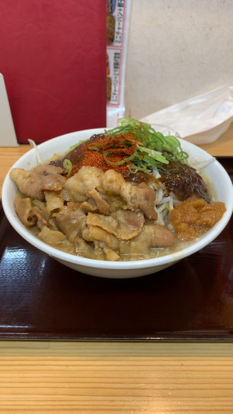 「紅の豚 野菜中増し 中辛」@らーめん 八幡屋の写真