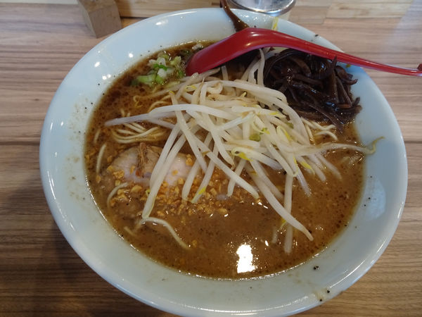 「【限定】熊本ラーメン 900円(既に終了？)」@くじら食堂 nonowa東小金井店の写真