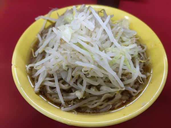 「小ラーメン(麺少なめ)750円」@ラーメン二郎 茨城守谷店の写真