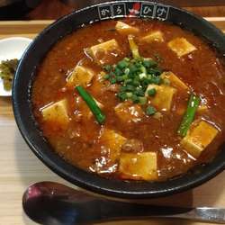 麻婆豆腐麺　普通