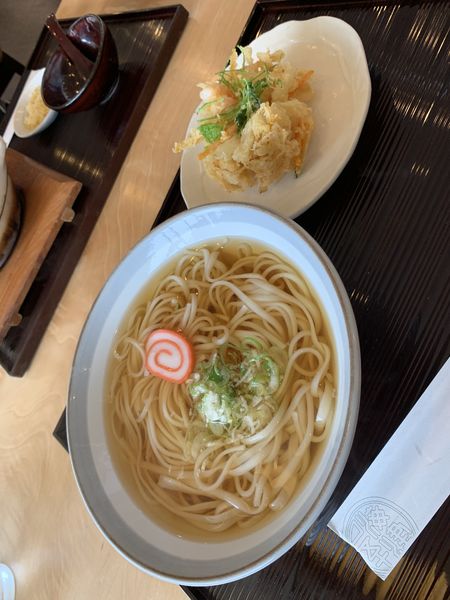 「かき揚げうどん（細麺（温））８３０円」@うどん茶屋 海津屋の写真