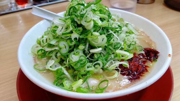 「ラーメン並680円&黒豚餃子(無料券)」@ラーメン 横綱 港店の写真