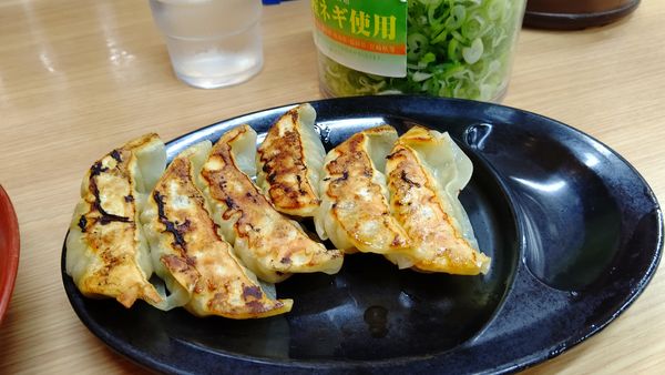 「黒豚餃子(無料券)」@ラーメン 横綱 港店の写真