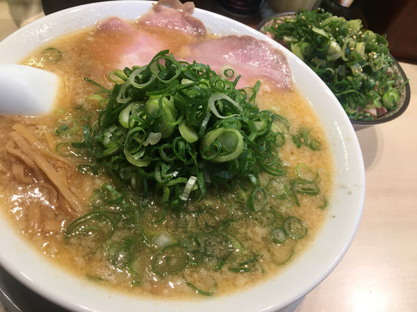 「味噌」@京都ラーメン 森井 向ヶ丘遊園店の写真