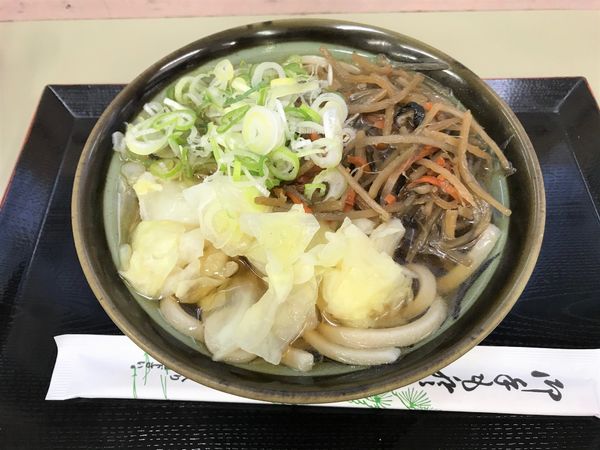 「富士吉田の田舎うどん￥490」@初狩PA上り線の写真