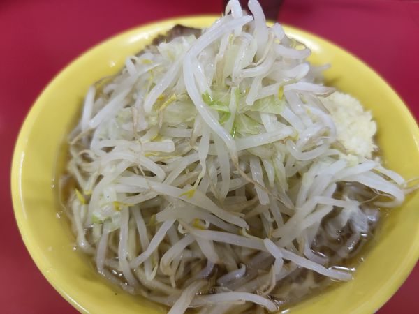 「小ラーメン(麺少なめ)750円」@ラーメン二郎 茨城守谷店の写真