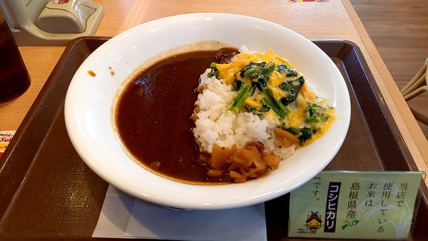 「横濱オムカレー」@すき家 出雲市駅南店の写真