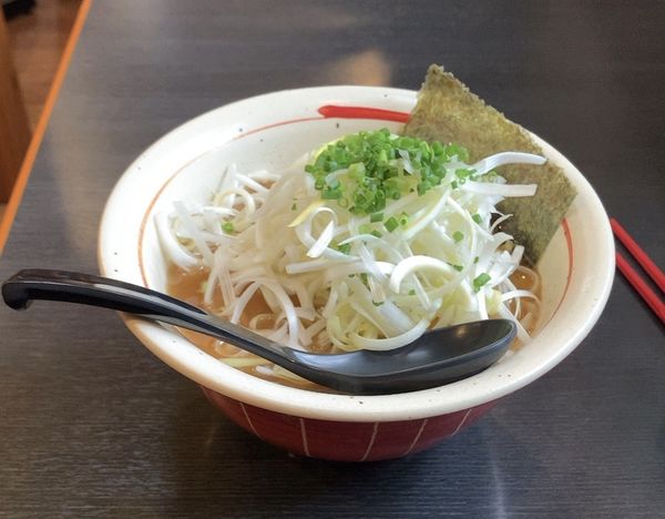 「らー麺 白髪ネギ」@麺や うしおの写真