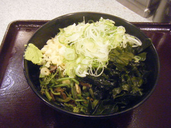 「冷やし山菜うどん（温玉抜き、ネギ盛り）」@そば処 かめや 新橋店の写真