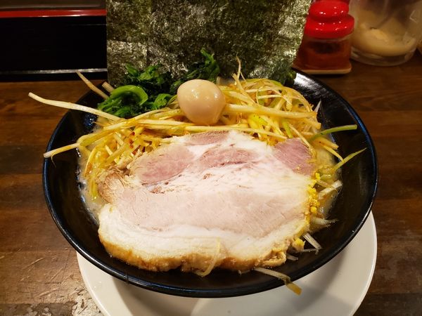 「豚骨醤油ねぎらーめん（麺バリ、味普、脂少」@横濱家系ラーメン 暁家の写真