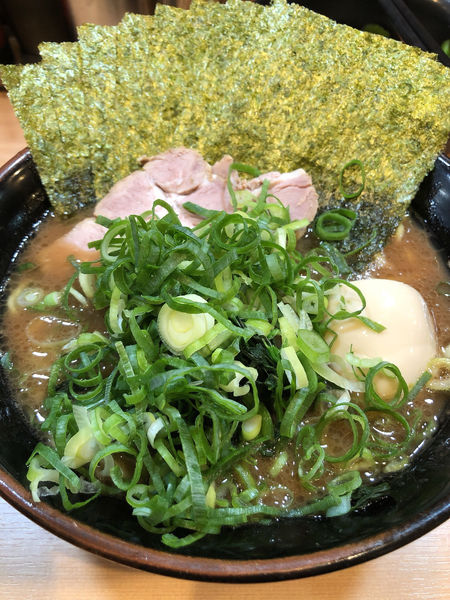 「家系ラーメン」@横浜家系らーめん 武道家 賢斗の写真