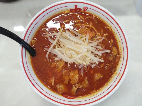「北極ラーメン」@蒙古タンメン中本 高崎店の写真
