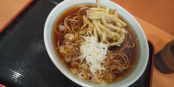 「ごぼう天そば」@爽亭 登戸店の写真