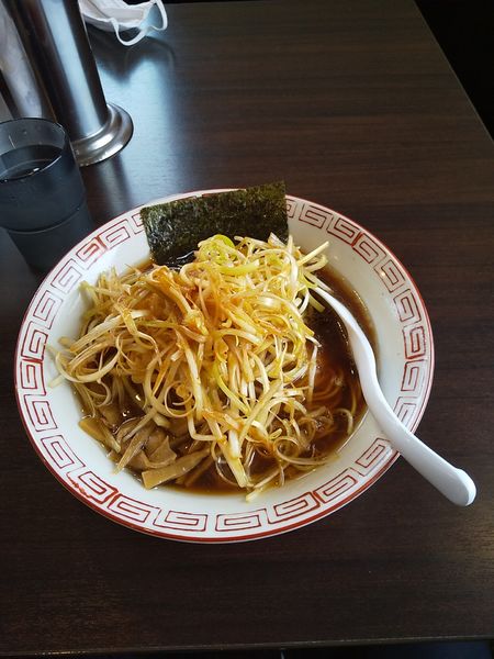 「ネギらーめん」@中華そば専門店 びんびん亭 瑞穂店の写真